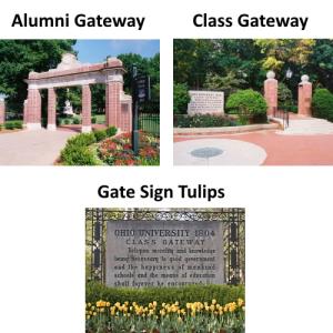 Image of Photo/Diploma Frame Petite Mahogany (DFF-05)