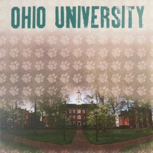 Image of 12x12 OU Scrapbook Paper:Cutler Paw Prints